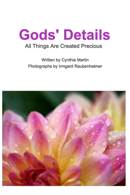 Gods' Details : All Things Are Created Precious, Paperback / softback Book