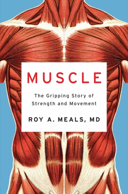 Muscle : The Gripping Story of Strength and Movement, EPUB eBook