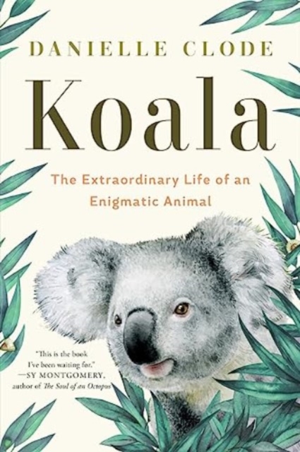 Koala : The Extraordinary Life of an Enigmatic Animal, Paperback / softback Book