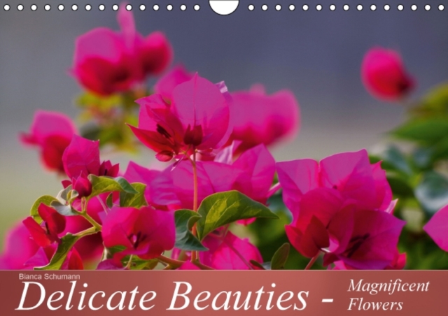 Delicate Beauties - Magnificent Flowers : A Variety of Flowers, Calendar Book