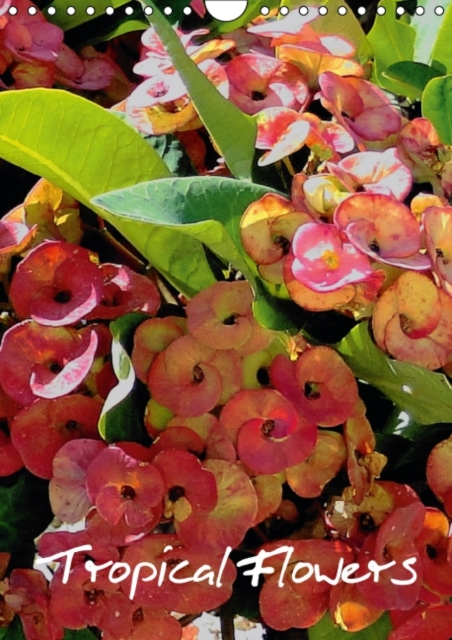 Tropical Flowers 2015 : Gorgeous tropical flowers in their natural habitat, Calendar Book