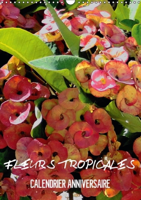 Fleurs Tropicales / Calendrier Anniversaire : La Splendeur Des Fleurs Tropicales Magnifiques Dans Leur Habitat Naturel, Calendar Book