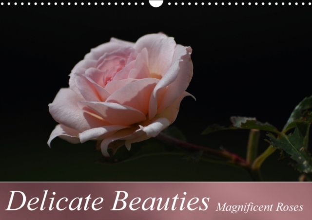 Delicate Beauties Magnificent Roses : Noble Queens of Flowers in Full Bloom, Calendar Book