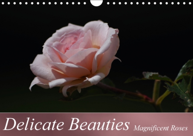 Delicate Beauties Magnificent Roses : Noble Queens of Flowers in Full Bloom, Calendar Book