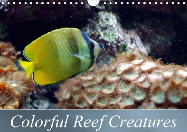 Colorful Reef Creatures : Tropical Reefs Provide a Wide Variety of Animals and Colors, Calendar Book