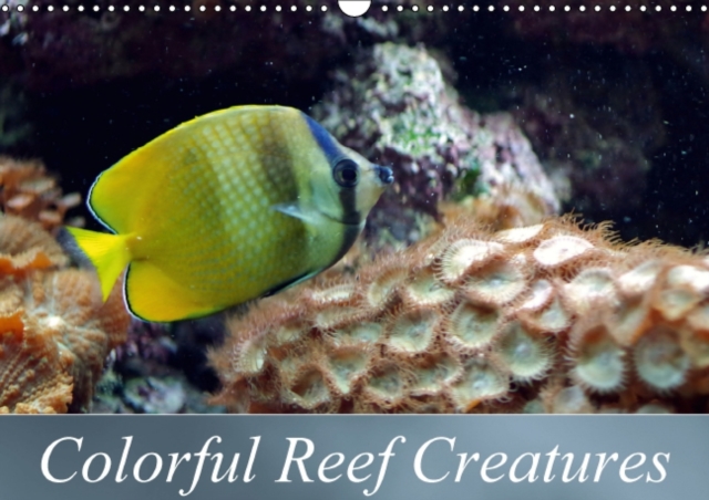 Colorful Reef Creatures : Tropical Reefs Provide a Wide Variety of Animals and Colors, Calendar Book