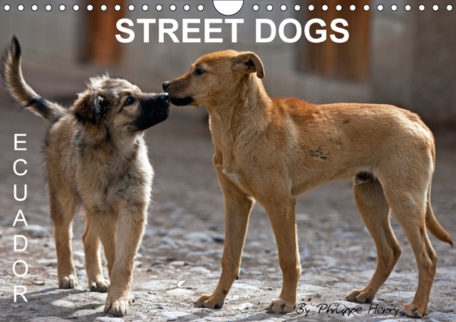 Street Dogs / UK-Version 2017 : Ecuador, Calendar Book