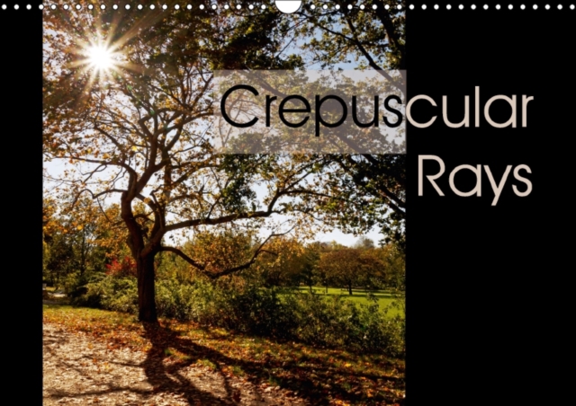 Crepuscular Rays 2017 : Backlit Highlights in the Forest, Calendar Book