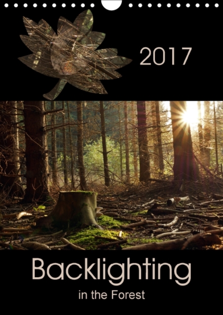 Backlighting in the Forest 2017 : Backlighting is One of the Most Attractive Forms of Lighting for Photography and Creates Interesting Highlights, Calendar Book