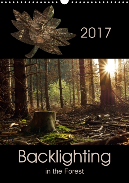 Backlighting in the Forest 2017 : Backlighting is One of the Most Attractive Forms of Lighting for Photography and Creates Interesting Highlights, Calendar Book