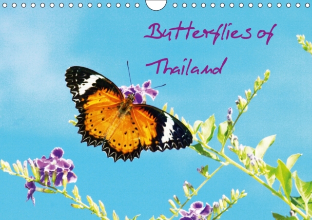 Butterflies of Thailand 2017 : Selected for Their Colour Design!, Calendar Book