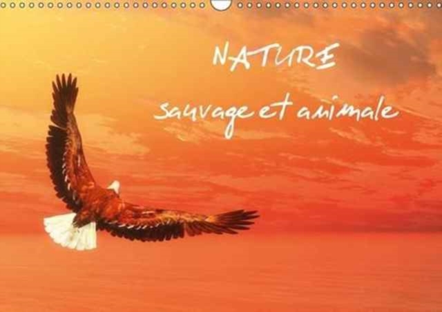Nature sauvage et animale 2017 : Scenes de nature sauvage aux couleurs enchanteuses, Calendar Book