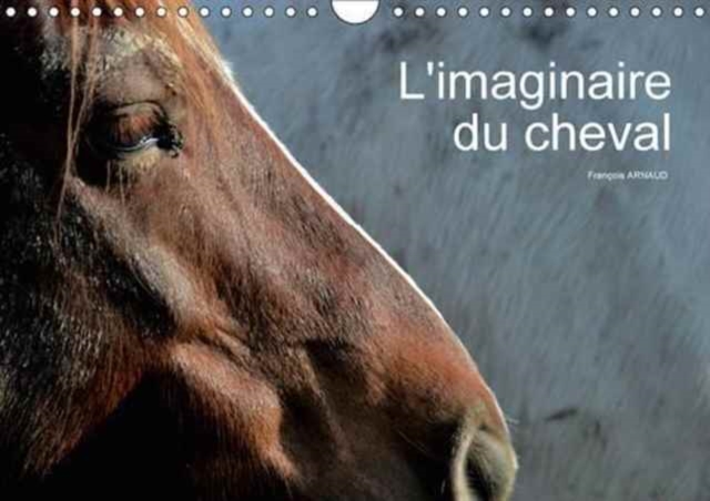 L'Imaginaire Du Cheval 2017 : Regard Abstrait Sur Le Cheval, Calendar Book