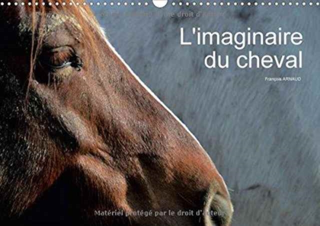 L'Imaginaire Du Cheval 2017 : Regard Abstrait Sur Le Cheval, Calendar Book
