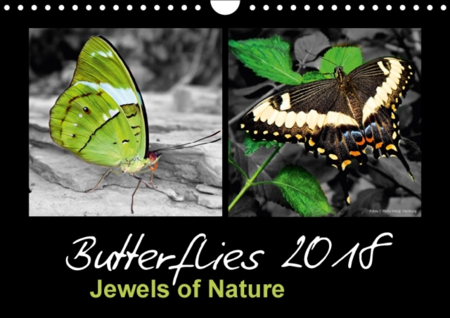 Butterflies 2018 Jewels of Nature 2018 : Fascinating Flying Gems in Bright and Shiny Colours as High-Resolution Images., Calendar Book