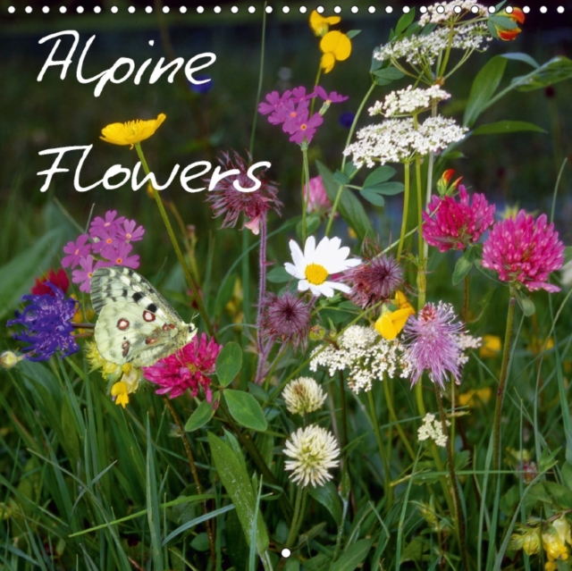 Alpine Flowers 2018 : Alpine Flowers of Britain and Europe, Calendar Book