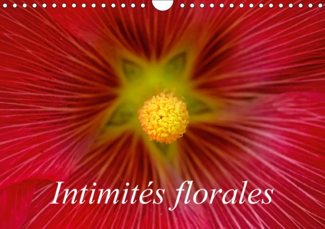 Intimites Florales 2018 : Macrophotographies De Fleurs, Calendar Book