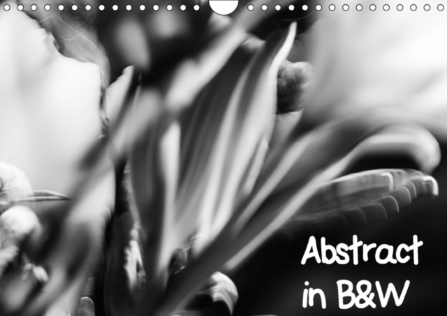 Abstract in B&W 2018 : Abstract Black and White Images, Calendar Book