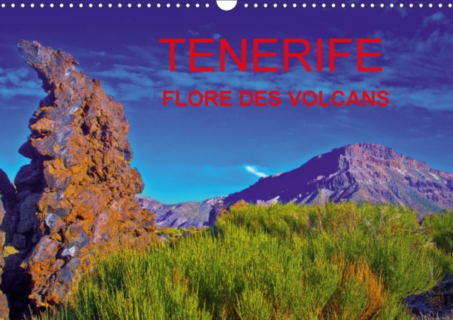 Tenerife Flore Des Volcans 2018 : Des Champs De Lave Barioles De Flore Endemique Creant La Surprise Dans Un Desert Bien Peu Austere., Calendar Book
