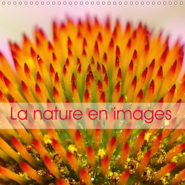 La Nature En Images 2018 : La Nature Au Fil Des Saisons, En Photos Macro Hautes En Couleurs., Calendar Book