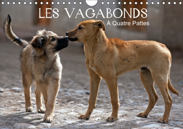 Les Vagabonds A Quatre Pattes. 2018 : Des Photos Inhabituelles De Nos Compagnons a Quatre Pattes., Calendar Book
