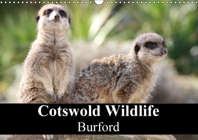 Cotswold Wildlife Burford 2018 : Animals at Cotswold Wildlife Park, Calendar Book