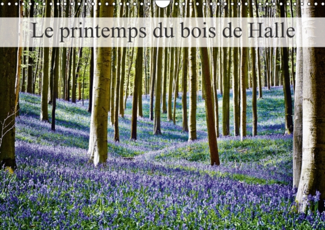 Le printemps du bois de Halle 2018 : Hallerbos, la foret feerique, Calendar Book