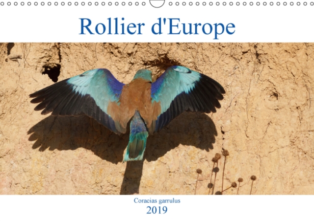 Rollier d'Europe (Coracias garrulus) 2019 : Decouvrez le rollier d'Europe, un oiseau bleu mediterraneen magnifique., Calendar Book