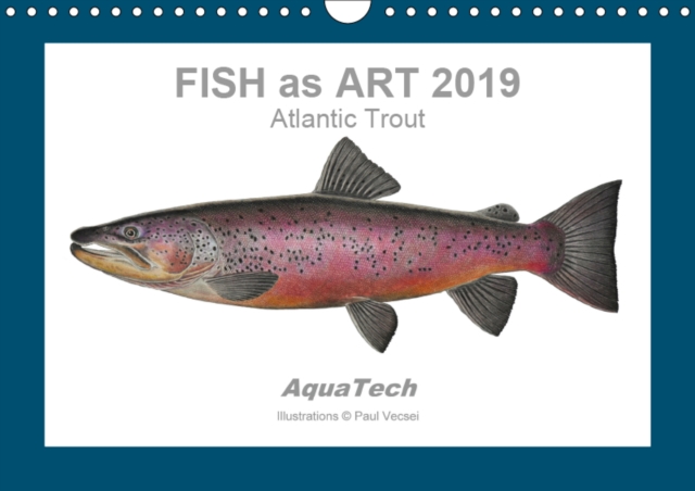 Fish as Art 2019 Atlantic Trout 2019 : 13 scientific colour illustrations, Calendar Book