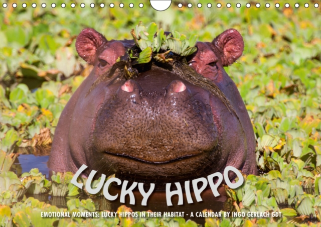 Emotional Moments: Lucky Hippo / UK-Version 2019 : Hippos in their natural habitat - a calendar of Ingo Gerlach GDT, Calendar Book