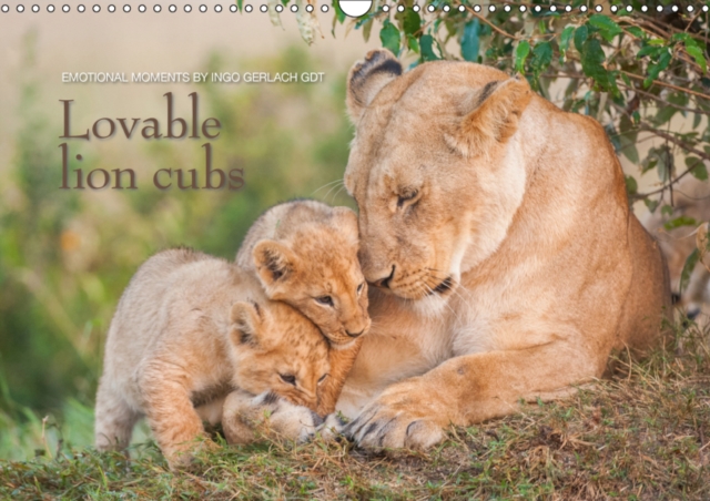 Emotional moments: Lovable lion cubs UK-Version 2019 : The children from "the lion king", Calendar Book
