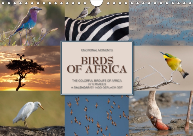 Emotional Moments: Birds of Africa UK-Version 2019 : The colorful birds of Africa in 12 images. A calendar by Ingo Gerlach., Calendar Book