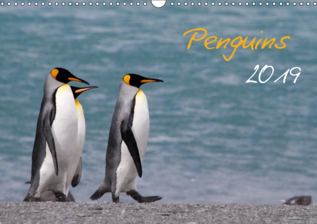 Penguins 2019 2019 : Monthly calendar with 13 wildlife images, Calendar Book