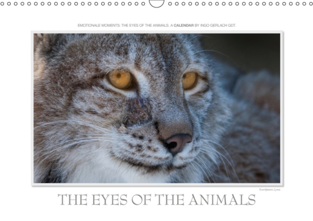 Emotional Moments: The eyes of the animals. UK-Version 2019 : Over the years, the renowned nature photographer, has photographed the eyes of animals. More at tierphoto.de, Calendar Book