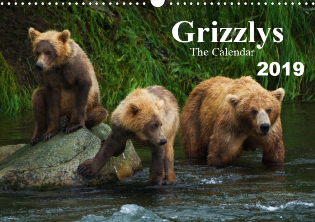 Grizzlys - The Calendar UK-Version 2019 : Grizzly Bears - a photo shoot in the Alaskan wilderness, Calendar Book