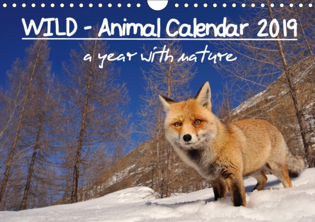 WILD - Animal Calendar 2019 / UK Version 2019 : A year with nature, Calendar Book