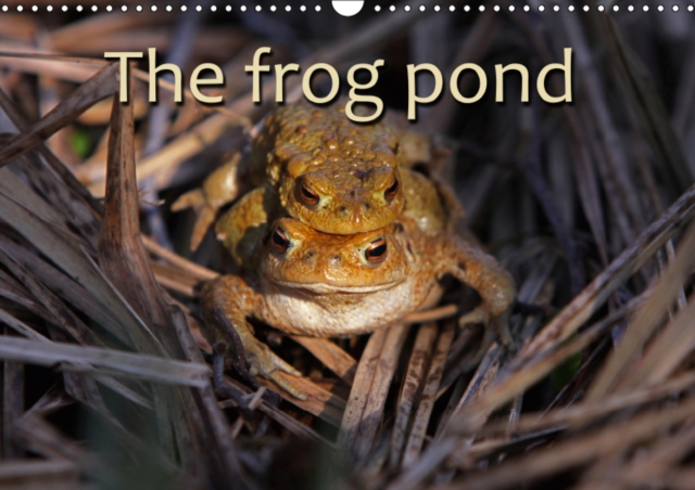 The Frog Pond / UK-Version 2019 : Toads and Frogs, Calendar Book