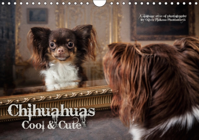 Chihuahuas - Cool & Cute / UK-Version 2019 : They are small, cheeky, cool, sweet and awfully, Chihuahuas. Who loves unusual dog pictures is right here., Calendar Book