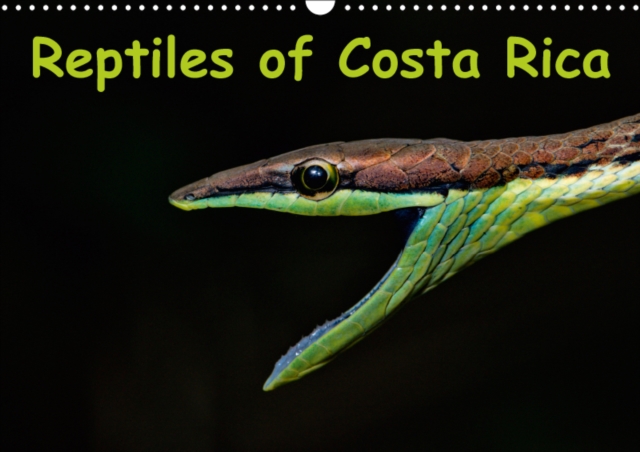 Reptiles of Costa Rica / UK-version 2019 : Snakes, lizards and turtles of Costa Rica, Calendar Book