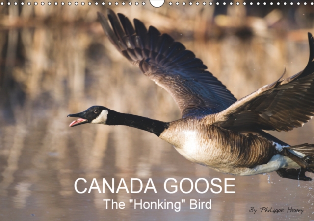CANADA GOOSE / UK-Version 2019 : The "honking" bird, Calendar Book