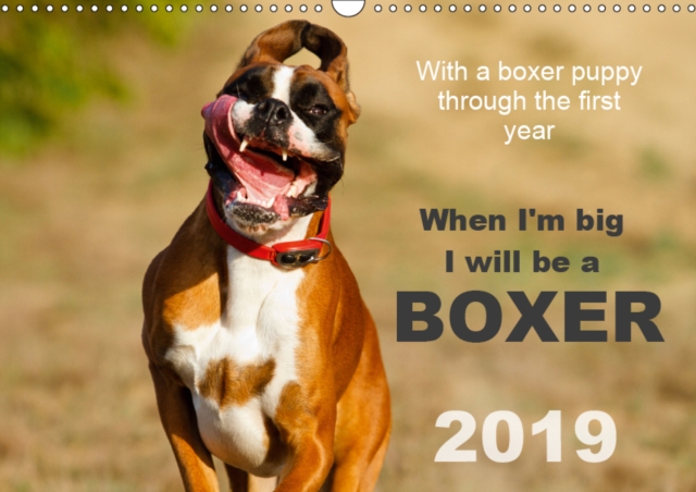 When I'm big I will be a Boxer / UK-Version 2019 : With a boxer puppy through the first year 2015, Calendar Book