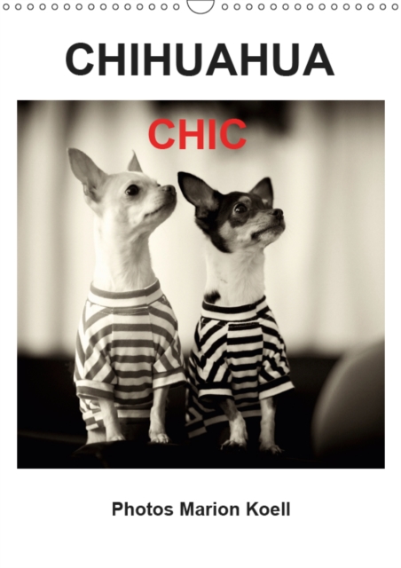 CHIHUAHUA CHIC Photos Marion Koell / UK-Verison 2019 : The cute little Chihuahuas Brownie and Maya in very pretty dresses, Calendar Book