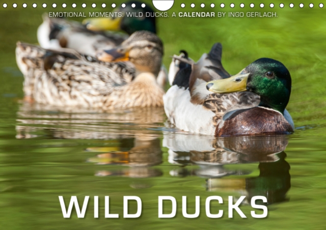 Emotional Moments: Wild Ducks. / UK-Version 2019 : Ingo Gerlach has made great pictures of wild ducks., Calendar Book