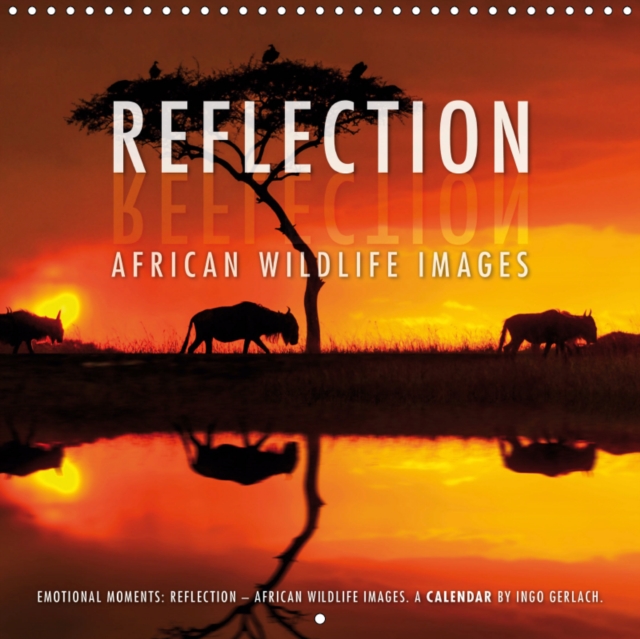 Emotional Moments: Reflection - African Wildlife images 2019 : Reflections - the nature photographer, Ingo Gerlach, has chosen the most beautiful pictures for this calendar., Calendar Book