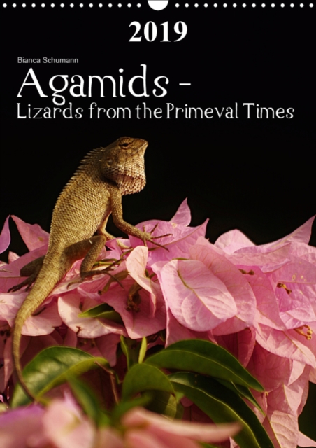 Agamids - Lizards from the Primeval Times 2019 : Photos of Oriental Garden Lizards in their natural habitat, Calendar Book