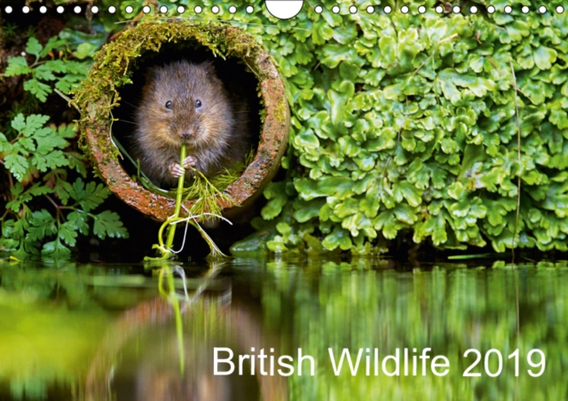 British Wildlife 2019 2019 : A collection of British wildlife, Calendar Book