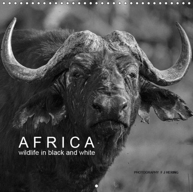 AFRICA wildlife in black and white 2019 : Black and white photography of African animals, Calendar Book