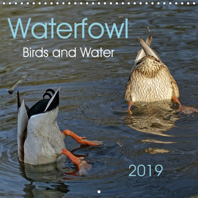 Waterfowl Birds and Water 2019 : Ducks,geese,gulls,herons-they are all waterfowl., Calendar Book
