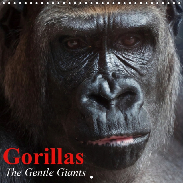 Gorillas * The Gentle Giants 2019 : The world's most rare and critically endangered animal species, Calendar Book
