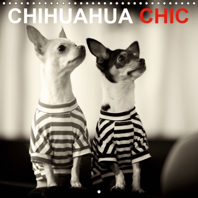 CHIHUAHUA CHIC 2019 : Les freres et s urs CHIHUAHUA Maya et Brownie aiment etre bien habilles., Calendar Book